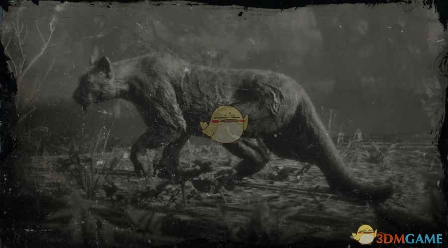 《荒野大镖客2》传说山狮贾古阿罗图鉴一览