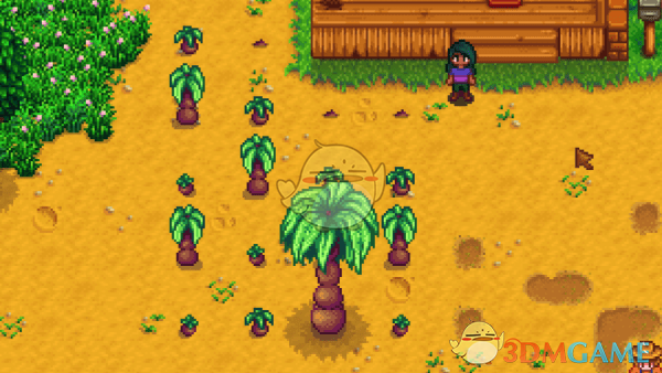 《星露谷物语》棕榈树可种植MOD
