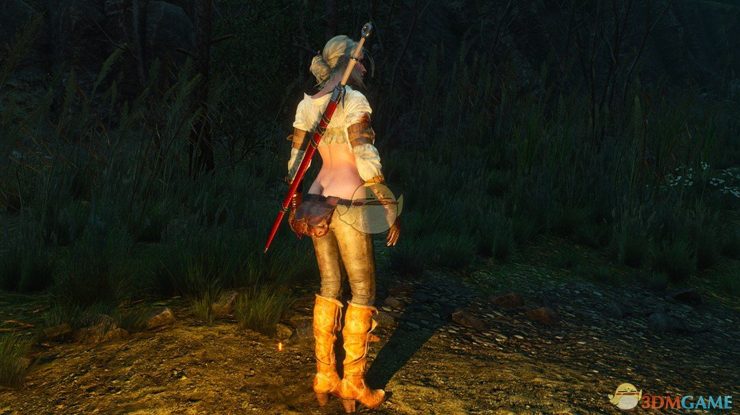 《巫师3：狂猎》更多希里服装MOD