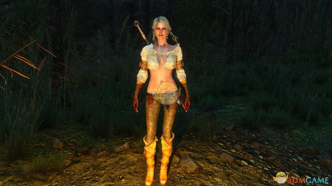 《巫师3：狂猎》更多希里服装MOD