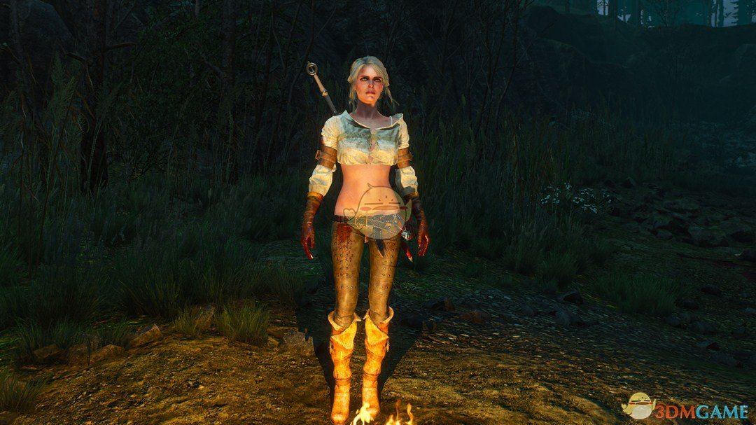 《巫师3：狂猎》更多希里服装MOD