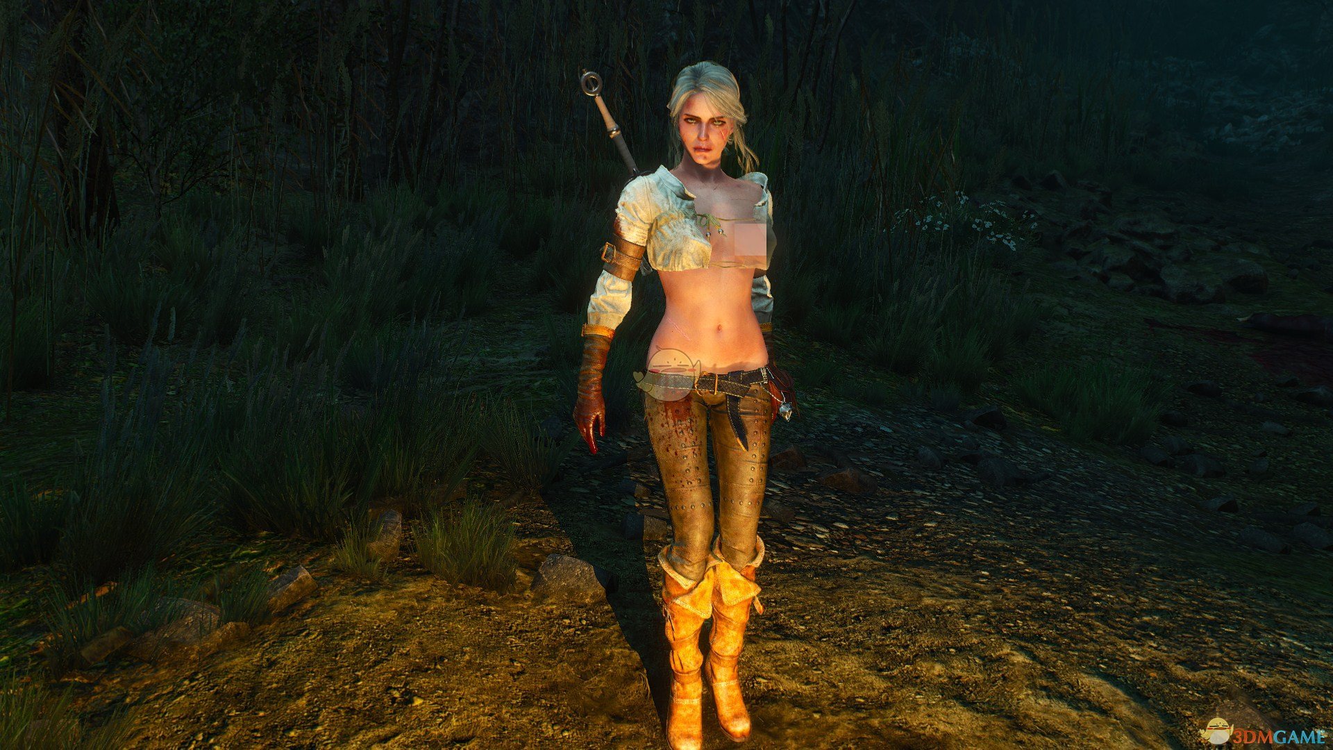 《巫师3：狂猎》更多希里服装MOD