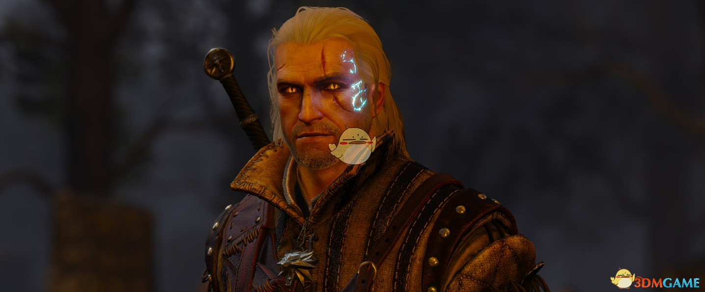 《巫师3：狂猎》石之心印记美化MOD