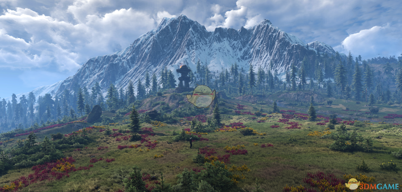 《巫师3：狂猎》草地美化MOD