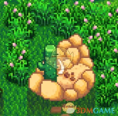 《星露谷物语》沙漠风格农场装饰MOD