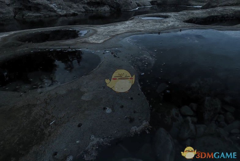 《Wallpaper Engine》加拿大森林摄影动态壁纸