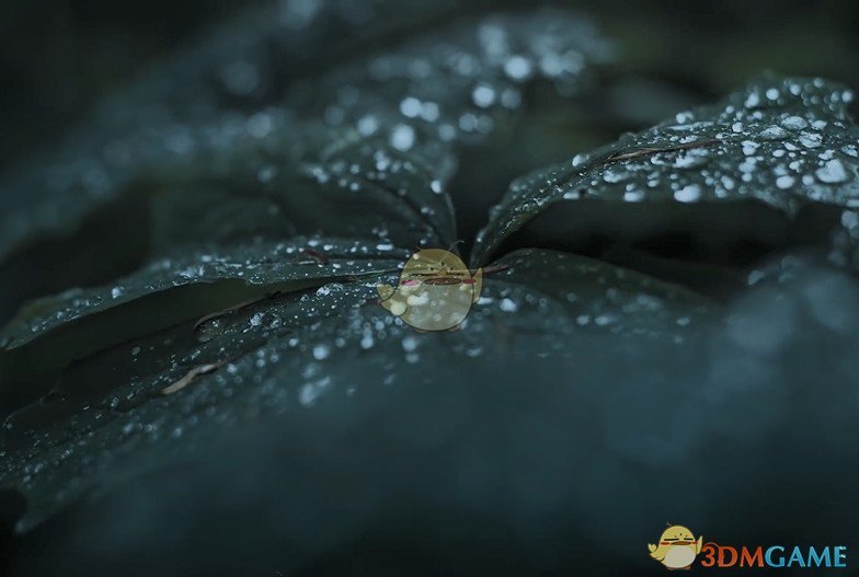 《Wallpaper Engine》加拿大森林摄影动态壁纸