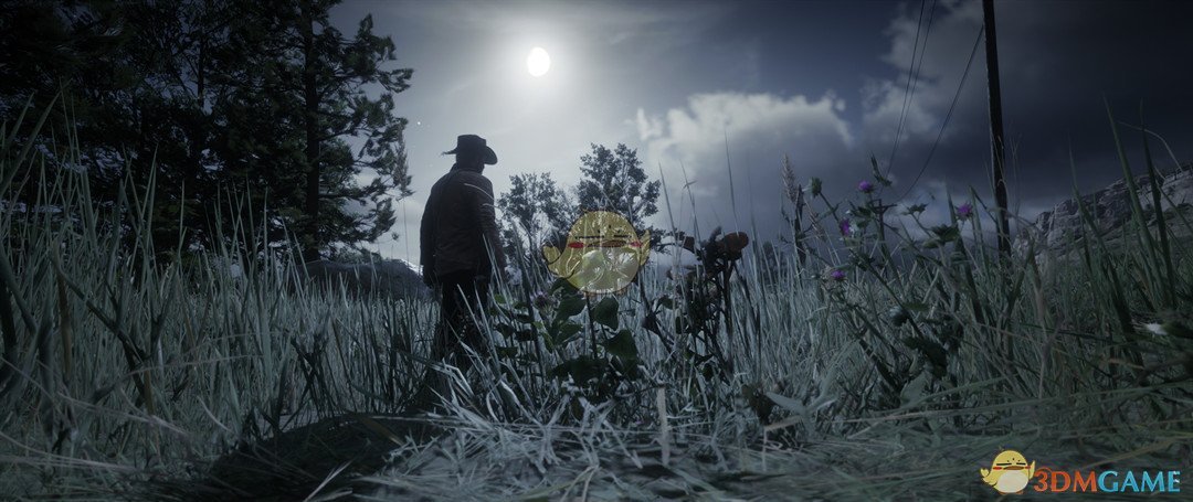 《荒野大镖客2》更久的一天MOD