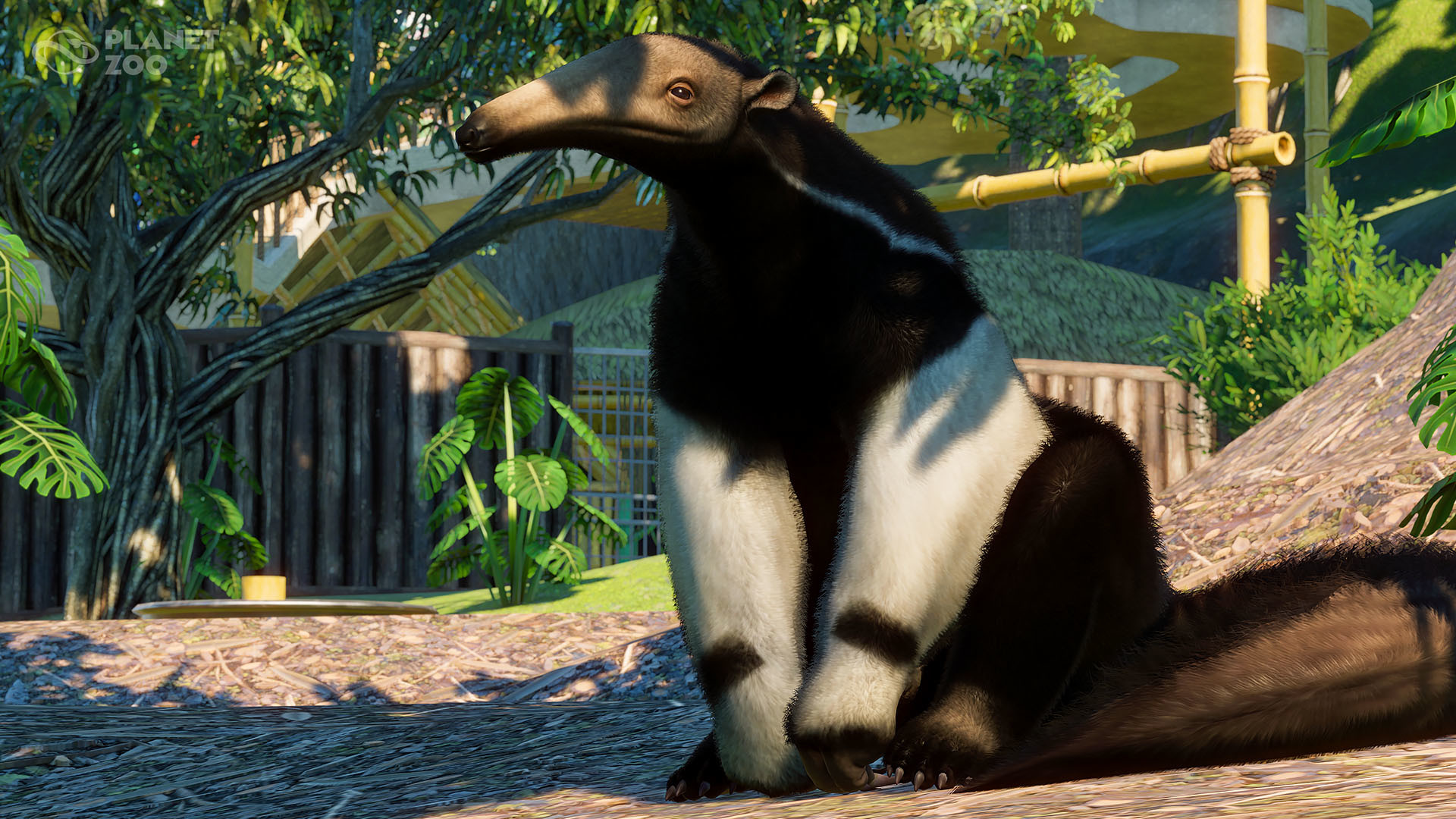 《动物园之星》全新DLC发售 入驻美洲豹等五种南美动物