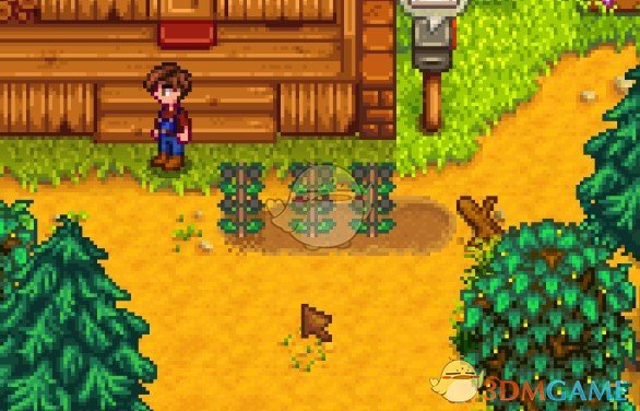 《星露谷物语》可成长的石头作物MOD