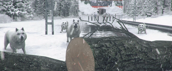 《跨西伯利亚铁路模拟器》游戏库