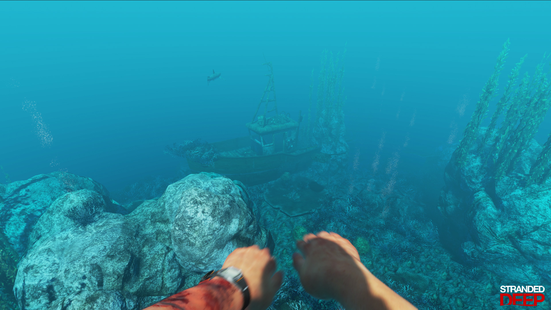 《荒岛求生》PS4和Xbox One版发售日公布