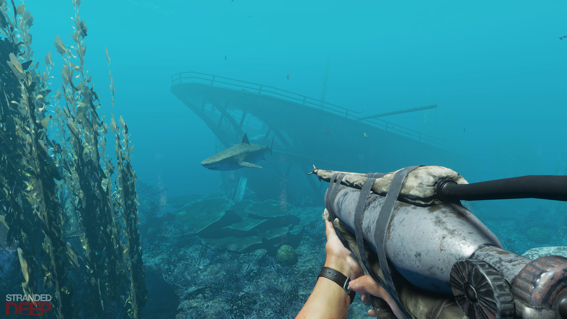 《荒岛求生》PS4和Xbox One版发售日公布