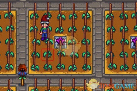 《星露谷物语》无视地形作物遮挡MOD