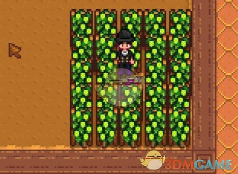 《星露谷物语》无视地形作物遮挡MOD