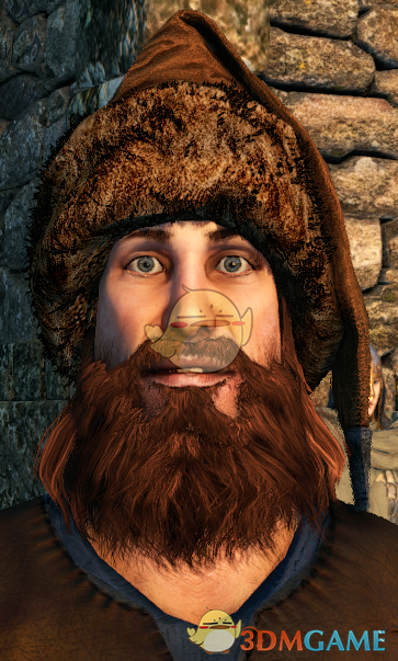 《骑马与砍杀2》更逼真的毛发颜色MOD