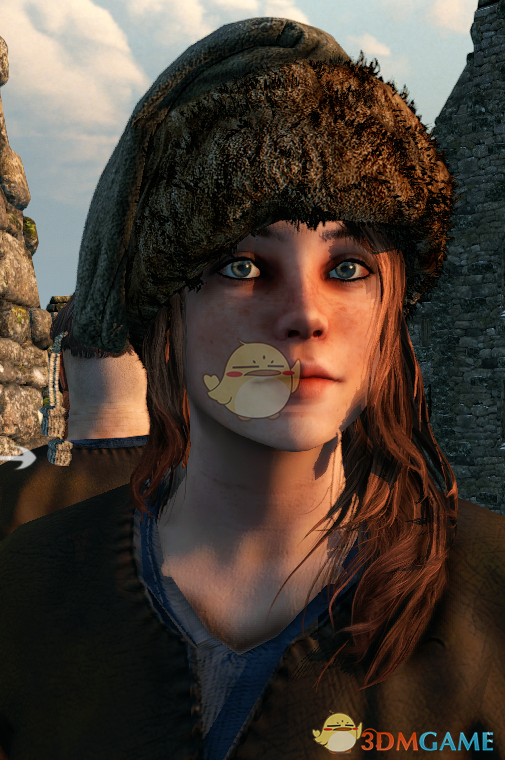 《骑马与砍杀2》更逼真的毛发颜色MOD