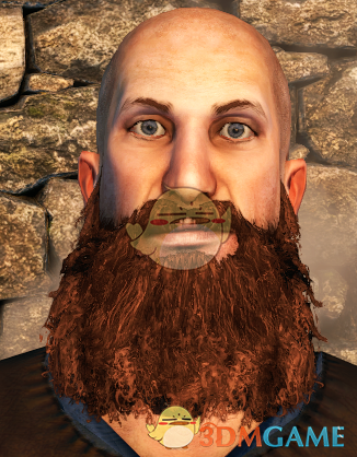 《骑马与砍杀2》更逼真的毛发颜色MOD