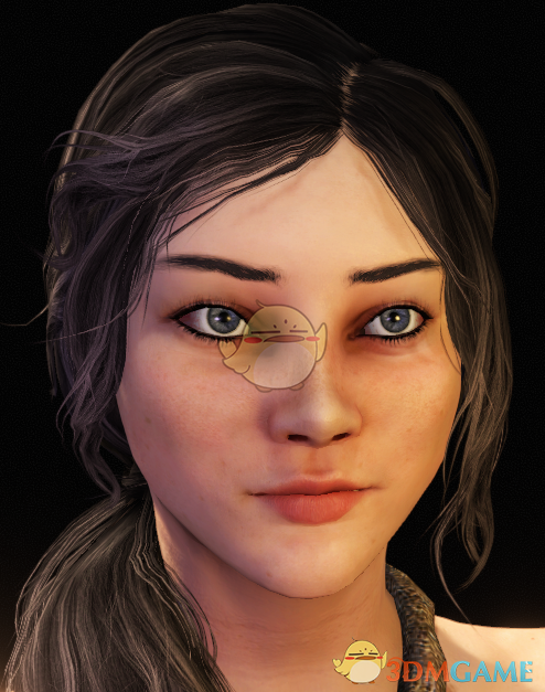 《骑马与砍杀2》居家妇女预设MOD