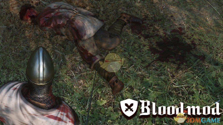 《骑马与砍杀2》血腥战斗MOD