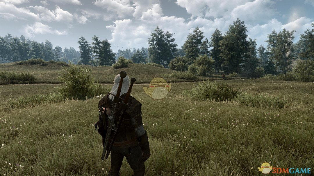 《巫师3：狂猎》更密集的花草MOD