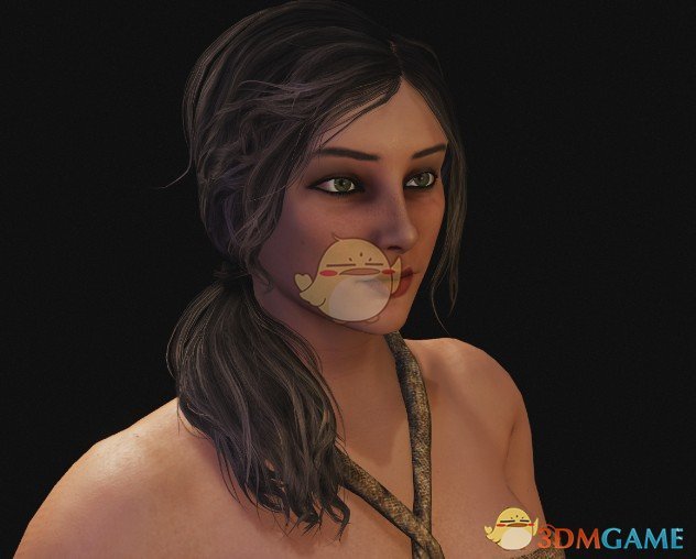 《骑马与砍杀2》地区女性预设包MOD