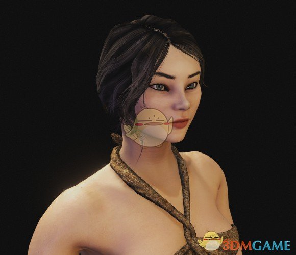 《骑马与砍杀2》地区女性预设包MOD