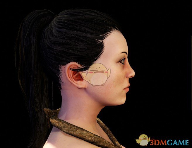 《骑马与砍杀2》地狱之刃塞娜人物预设MOD