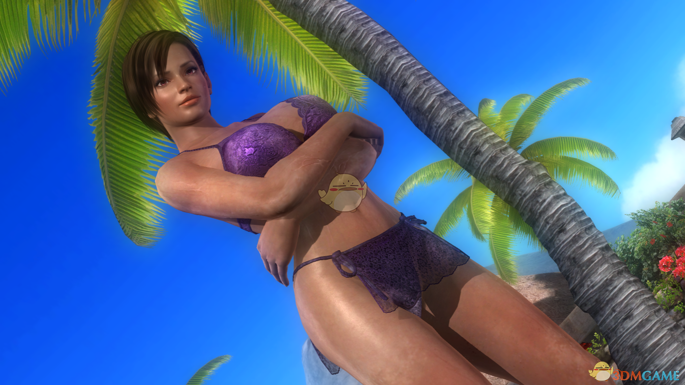 《死或生5：最后一战》Lisa性感紫色蕾丝泳装MOD