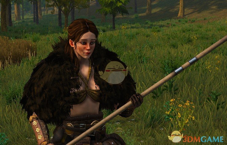 《骑马与砍杀2》达娜女性预设MOD