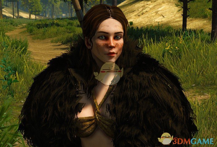 《骑马与砍杀2》达娜女性预设MOD