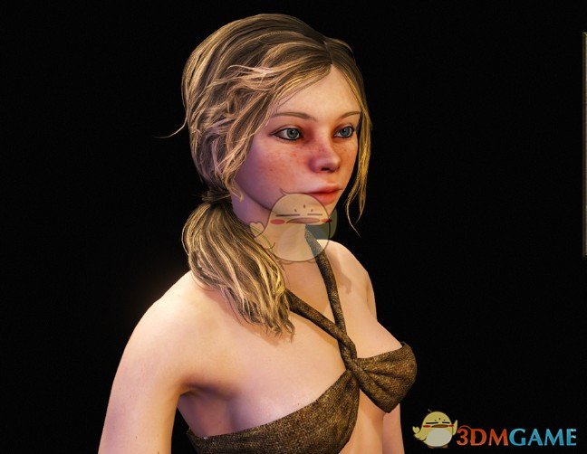 《骑马与砍杀2》贵妇米拉预设MOD