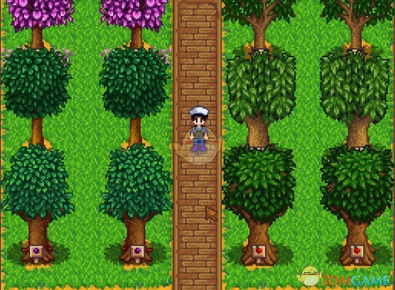 《星露谷物语》季节性草坪MOD