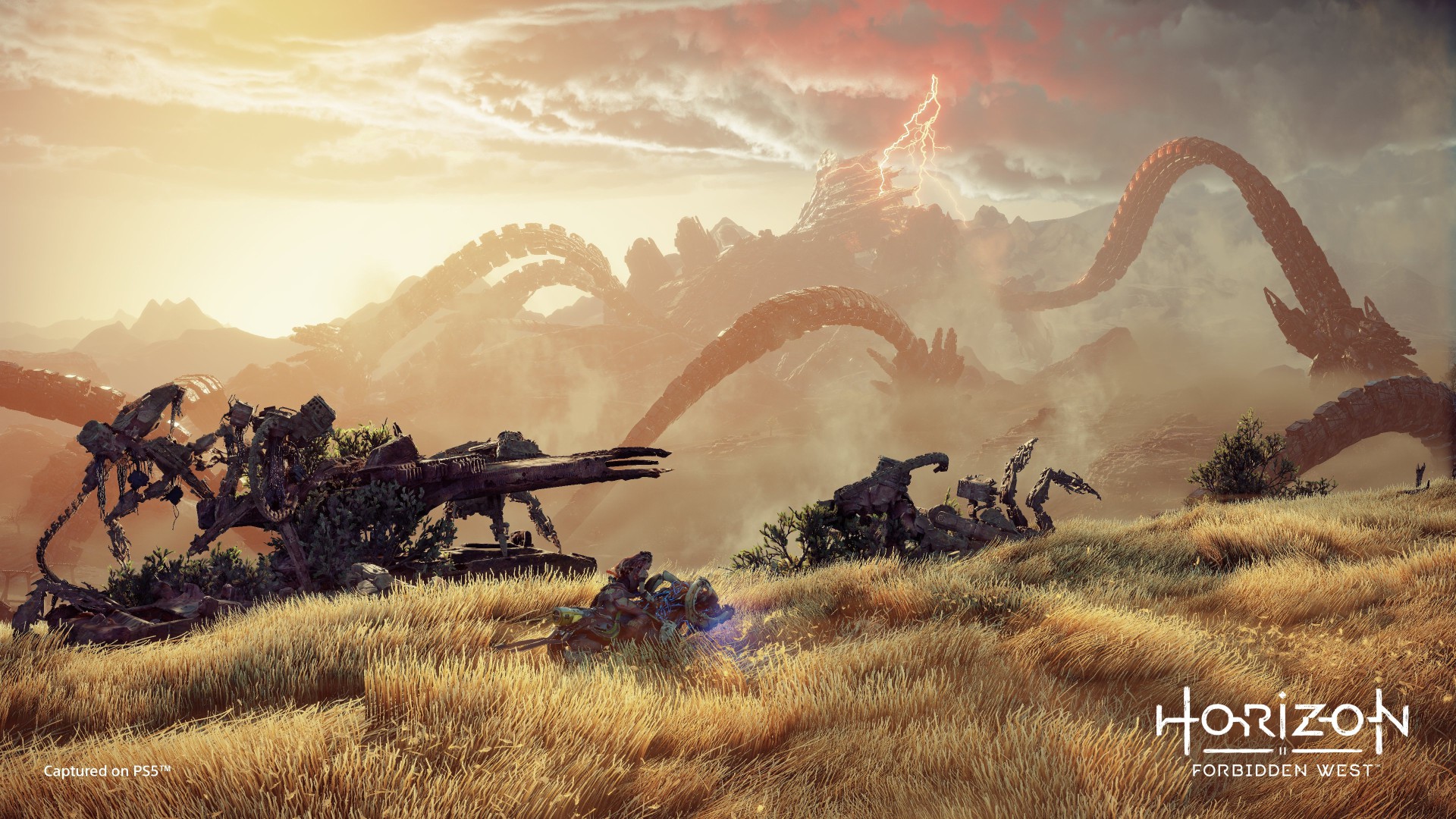 PS5《地平线2：禁忌西部》精美截图 画面出色风景迷人