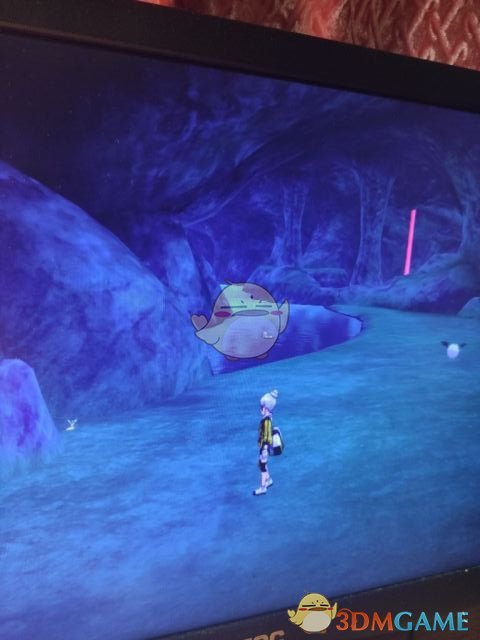 《宝可梦：剑/盾》斗志洞窟地鼠位置分享