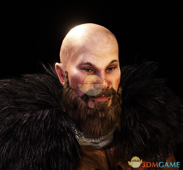 《骑马与砍杀2》拉格纳传奇维京人预设MOD