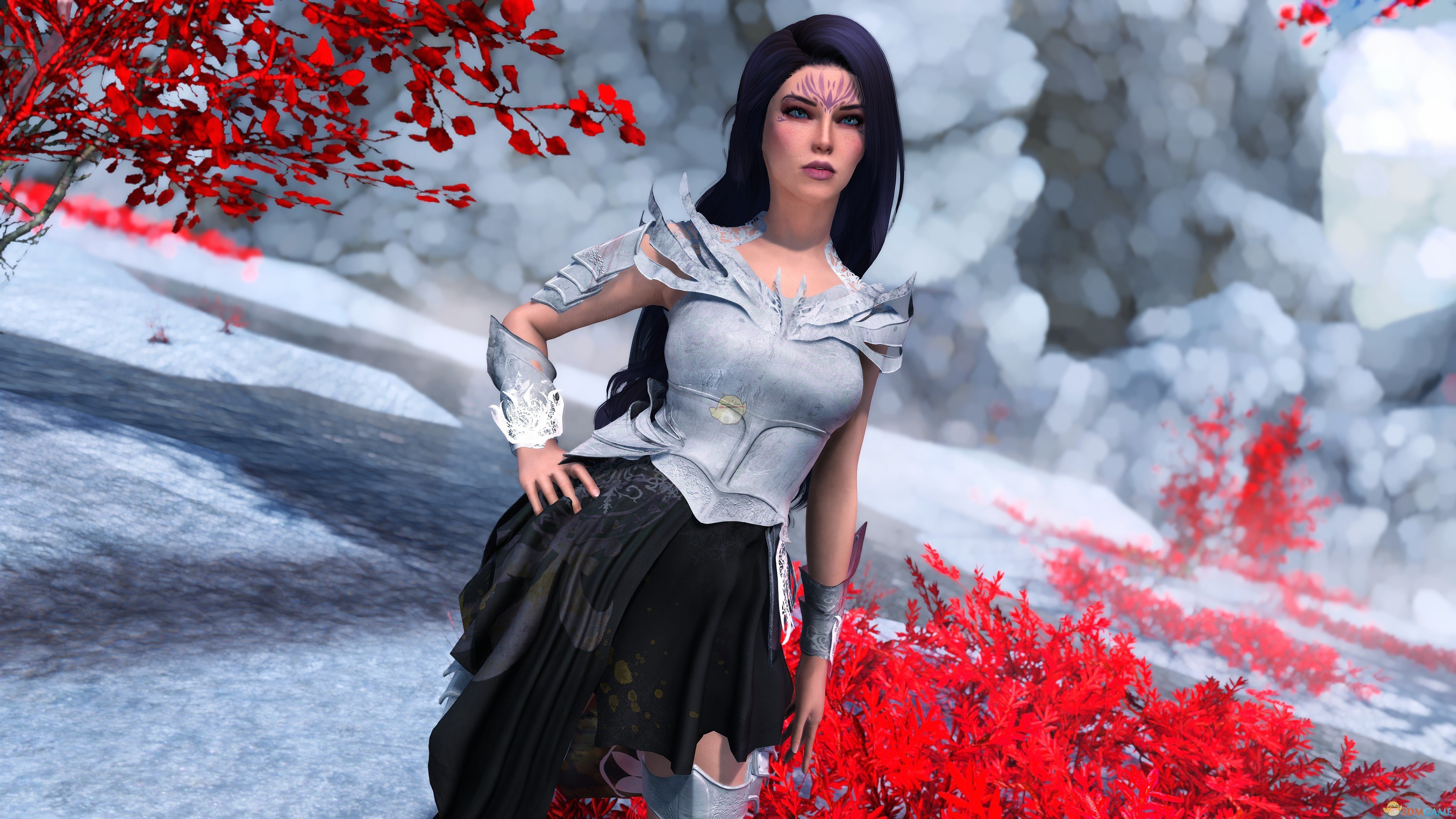 《上古卷轴5：天际重置版》Letia美丽独立女性随从MOD