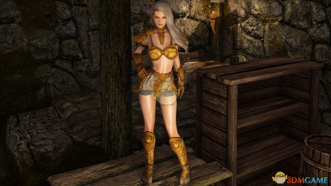 《上古卷轴5：天际重置版》女性性感角斗士护甲MOD