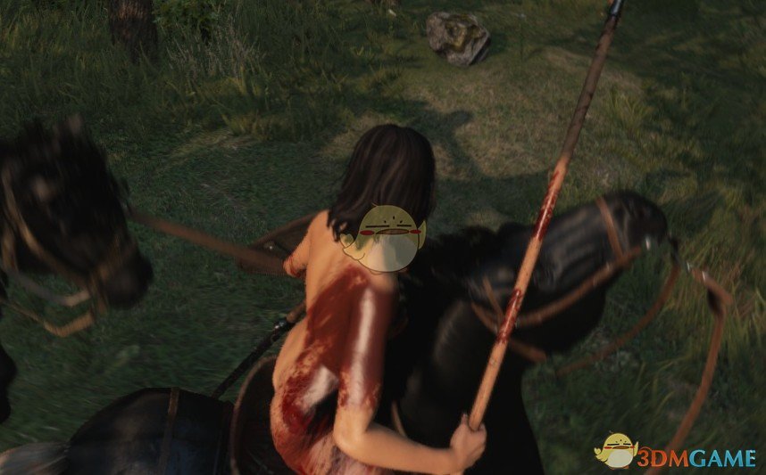 《骑马与砍杀2》装备隐形MOD