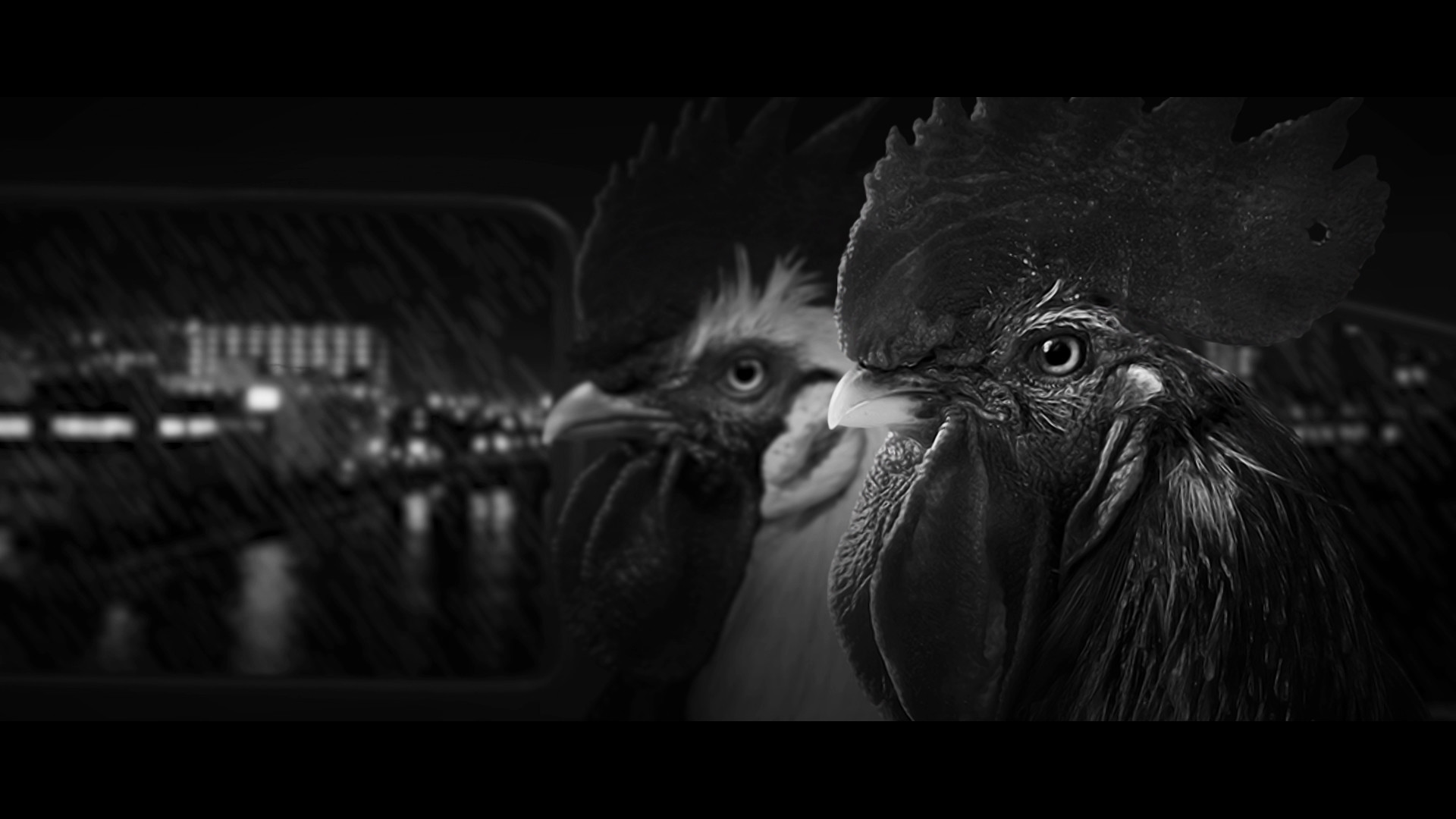 《公鸡神探》试玩版上架Steam平台 游戏支持中文