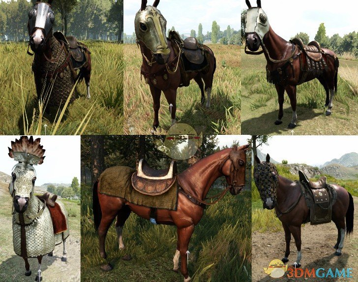 《骑马与砍杀2》新的马具MOD