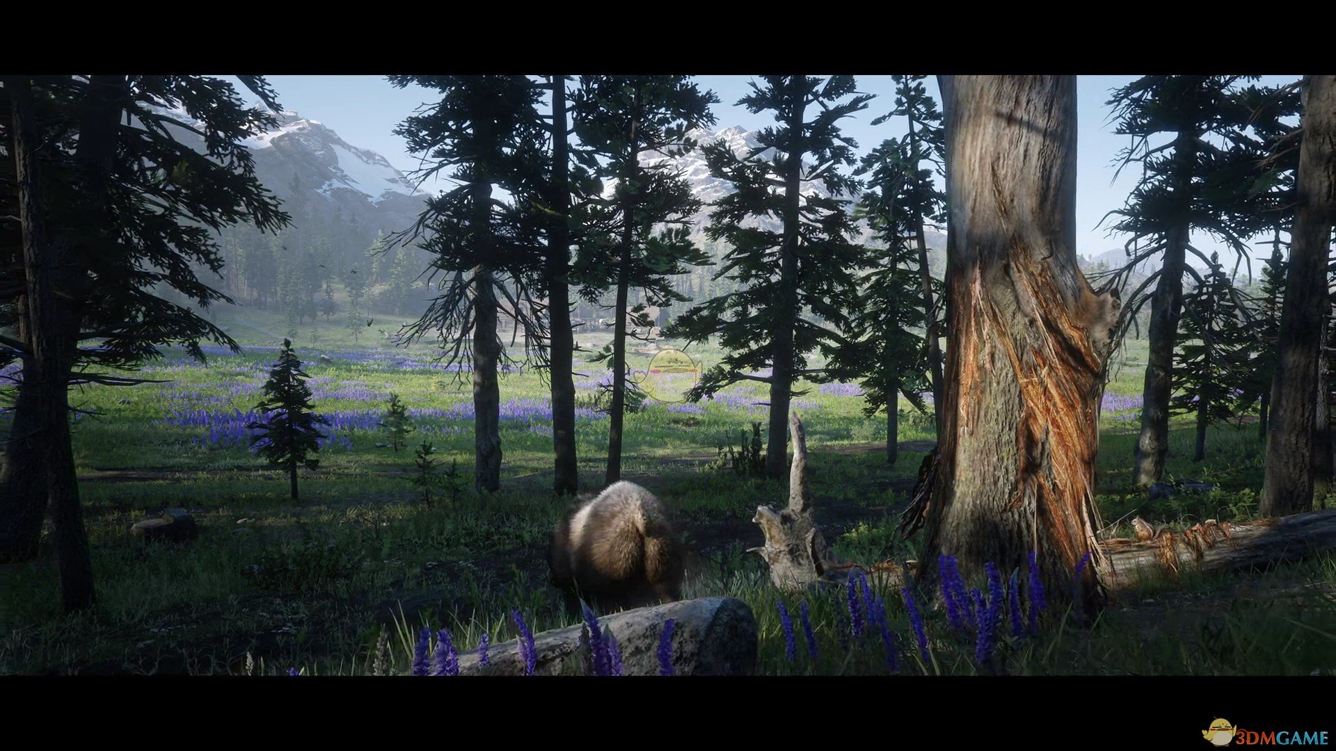 《荒野大镖客2》传说脊背灵熊及其服装外观一览