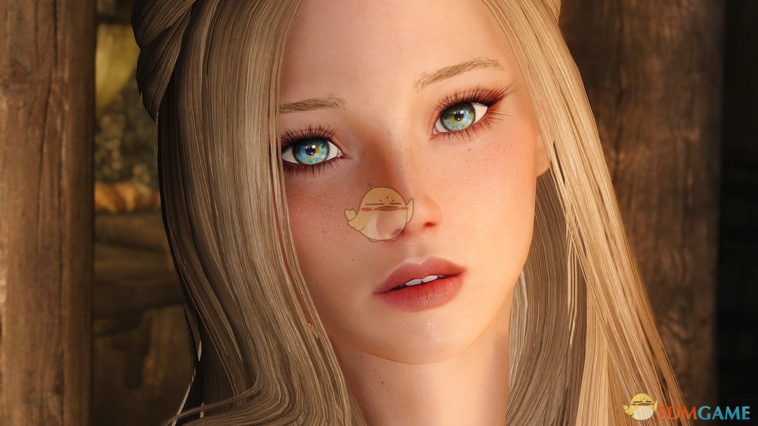 《上古卷轴5：天际》Elvyra性感金发女性随从MOD