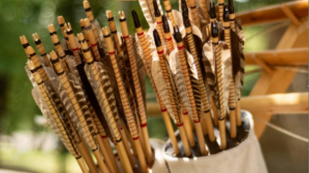 《骑马与砍杀2》双倍和三倍箭矢MOD