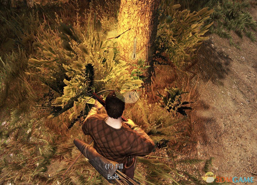 《骑马与砍杀2》火雨MOD