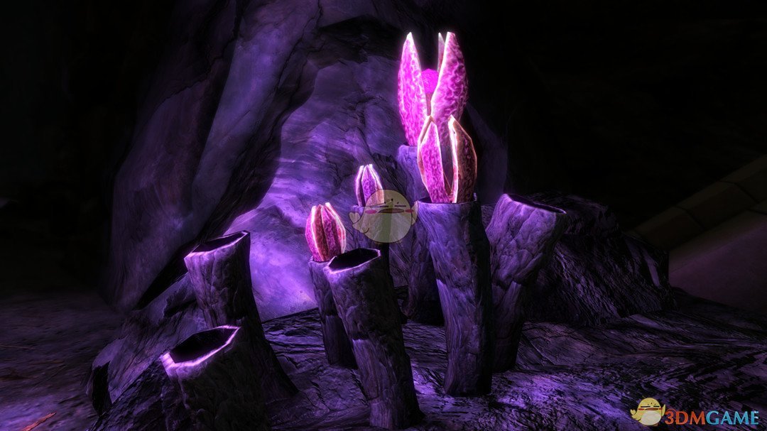 《上古卷轴5：天际》穴居植物重塑MOD