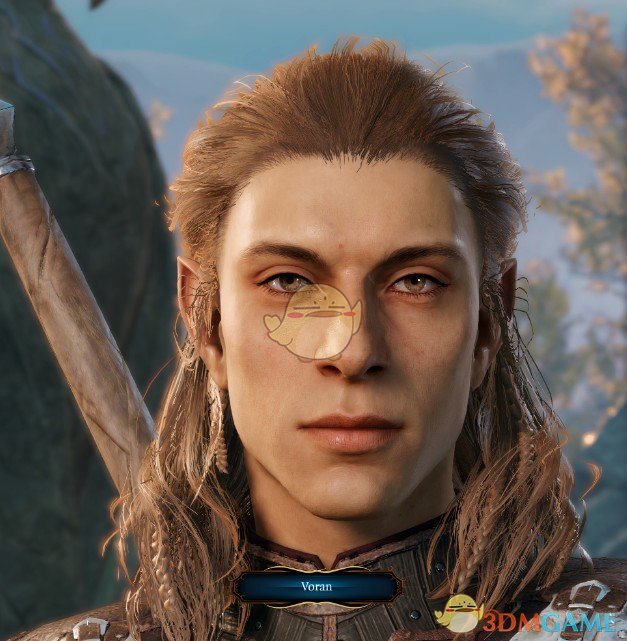 《博德之门3》更年轻的半精灵面部预设MOD