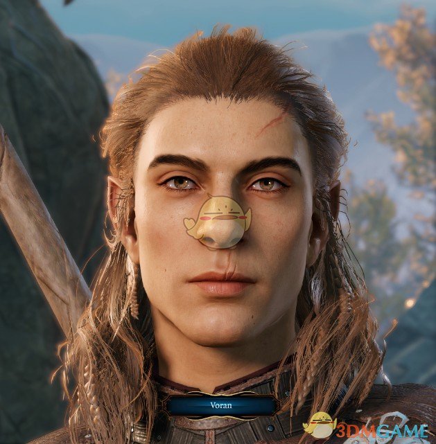 《博德之门3》更年轻的半精灵面部预设MOD
