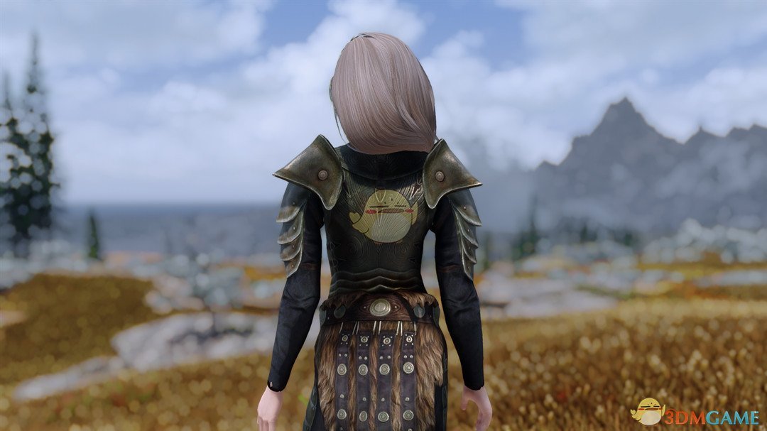 《上古卷轴5：天际重置版》4K装甲MOD