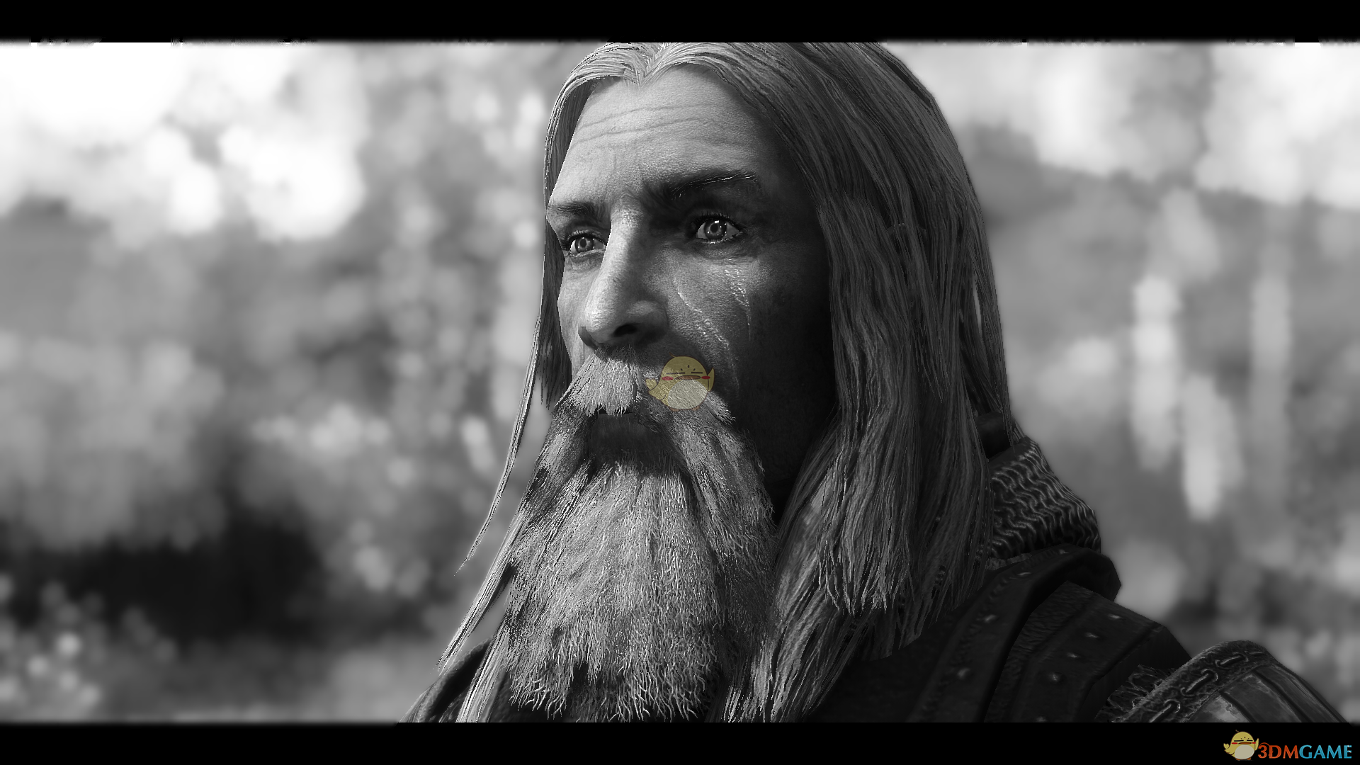 《上古卷轴5：天际》更多种族可以使用胡须MOD